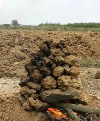 [��Ц]��ͼʩ������߾���