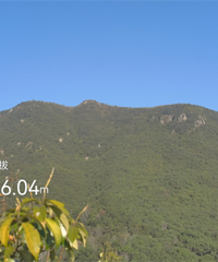 台州绿心之巅黄毛山
