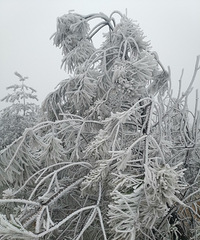 徒步大寺尖:雾凇最为壮观,犹如冰天雪地里的童话世界
