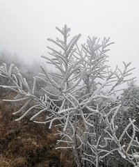 徒步大寺尖:雾凇最为壮观,犹如冰天雪地里的童话世界