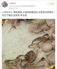 �Ի��ǰ����һ����Ƭ��̣�������˾綾��