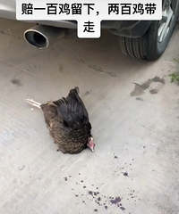 �����µ�·�ϲ�С��ײ������ļ�����100�����£���200������