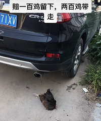 �����µ�·�ϲ�С��ײ������ļ�����100�����£���200������