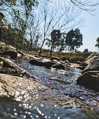 ������壬��������