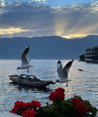 87�꽷��Ů��������ޣ�Ѱ������һ�µİ���