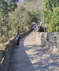 �����������֡��ٺ�����+������