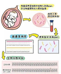 ��ɸ���޴�������ôѡ������ƪ�������