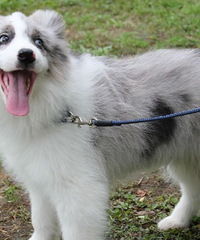 �������ҪĿ���Ҹ�����88�꽷��GG