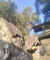 宁海佛手山~雁苍山~吉祥寺~凫溪绿道环线