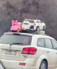 ���������ġ���������ȫ�����������Ů˫ȫ����