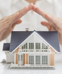 ��̣�����������������