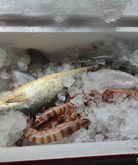 ���۸��᡿�����ǹ��껹�а������