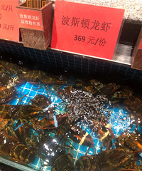 【春节天天乐】波斯顿龙虾369元一份