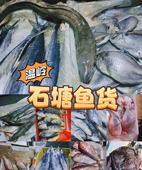 【二月美食种草】石塘菜市场那些渔货们