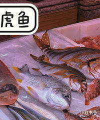 【二月美食种草】石塘菜市场那些渔货们