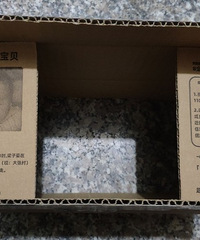 ���۸��᡿��è���к������������ˣ�����