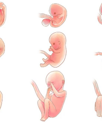 ����B�������족Ҫ������