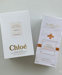 ���ڹ������