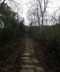 再走杜桥天堂山环线,徒步时间4个小时