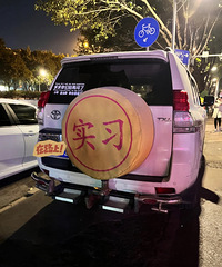【汽车街拍】哈哈哈笑死了,这么大的实习标志