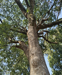 90�����Ѱ90���ϰ飬����һ�㣬ϲ��������ɽ��