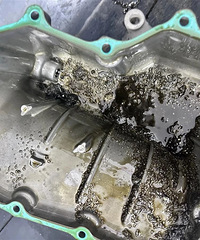 ��Ů��Ħ�г����������Ӱ��ǡ���������Ӧ��