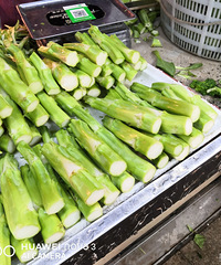 ��û�о��ý������ر��