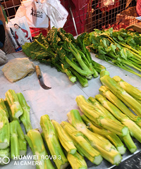 ��û�о��ý������ر��