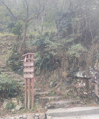 �����֮��ĵ�һ�γ�����֮����Ӱ����ߴ���ͩ��᮵���ǰ��