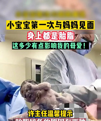 С������һ����������棬���϶���̥֬