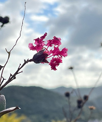 93Ů�Ҵ��ӣ���ͨ�ͣ�Ҫ�ұ���Ϸ���������֣�