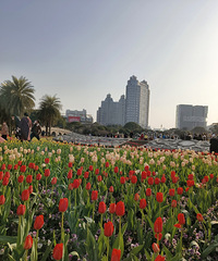 【2月带娃】等郁金香花开,让孩子种点花花草草是很不错的