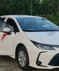 车型:丰田卡罗拉1.2T 价格:12万多