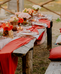 �ִ������ˣ��ڽ�һ�ֺ��µĻ飡