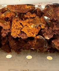 �������ʲô����үү��ҹ���ִ�