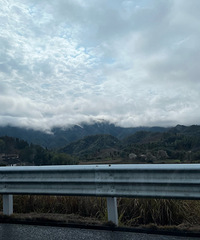 94����Һ����Ҷ�������174���Ը��ֹ۳���