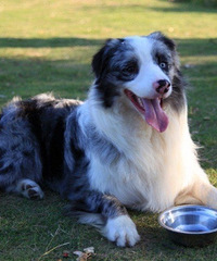 90�꽷��GG����175�������Ӿ��̣�ϣ���Ҹ������ڶ�������