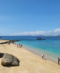 ��2023�μǡ���ȫ���Ϲ��ԣ�������������