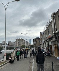 ��������ʳ�ֲݡ�Χǽ��Ĵ���