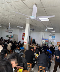 ��������ʳ�ֲݡ�Χǽ��Ĵ���