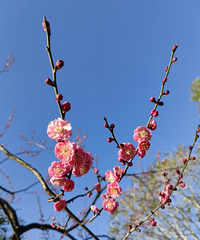 90����������ͨ�ϰ��壬ϣ��δ������һ������172+