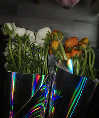 ��ѧͬѧ����ûȥ������Ӻ�������һ����ĵ�����ң�