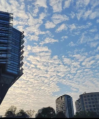 23���������Ʊ�ҵ������������8000Ԫ��������̫���