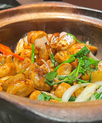 �������ʲô�������̵��ƴ�Ϻ���̵�����������