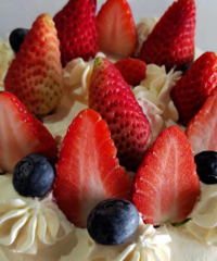 ���ںܶ��˶����а࣬�����׶�԰����������̫����