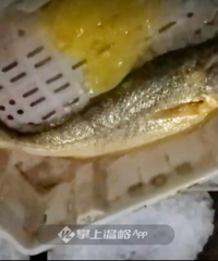 4.8���أ��������񲶻���������Ұ������㣡��������