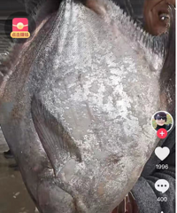 10���ص����㣬������˵û����������ͱ����ˡ�ר��ֱ����ϧ