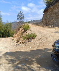 ̨318ͷɽɾϪԿȥҰ·