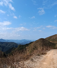 ̨318ͷɽɾϪԿȥҰ·