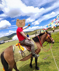 ���ѣ�����Ȥ���˽���